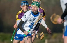 Funds being raised for dual Waterford minor that suffered spinal injury in crash