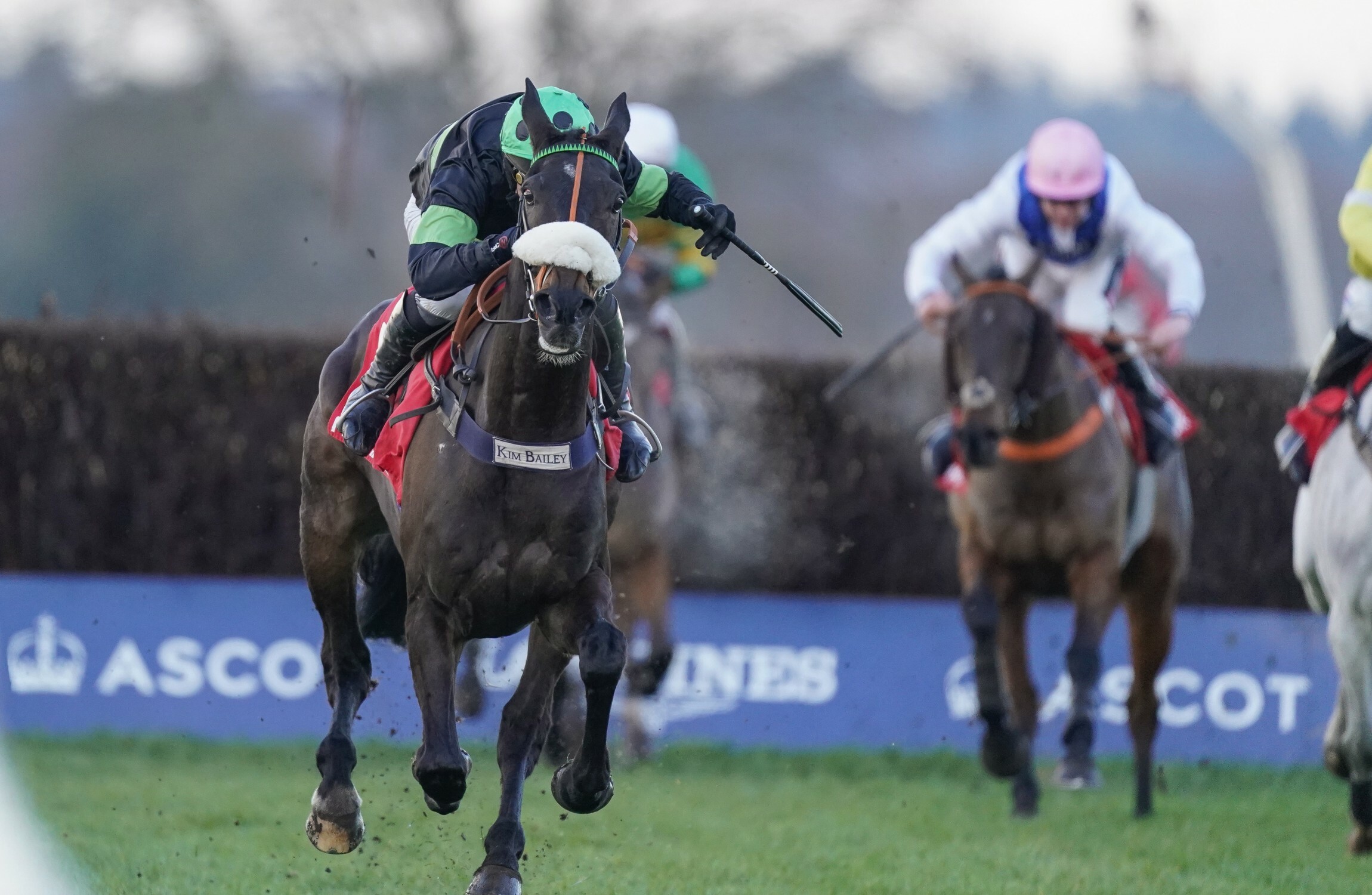 First Flow shocks Politologue at Ascot - Vimarsana News