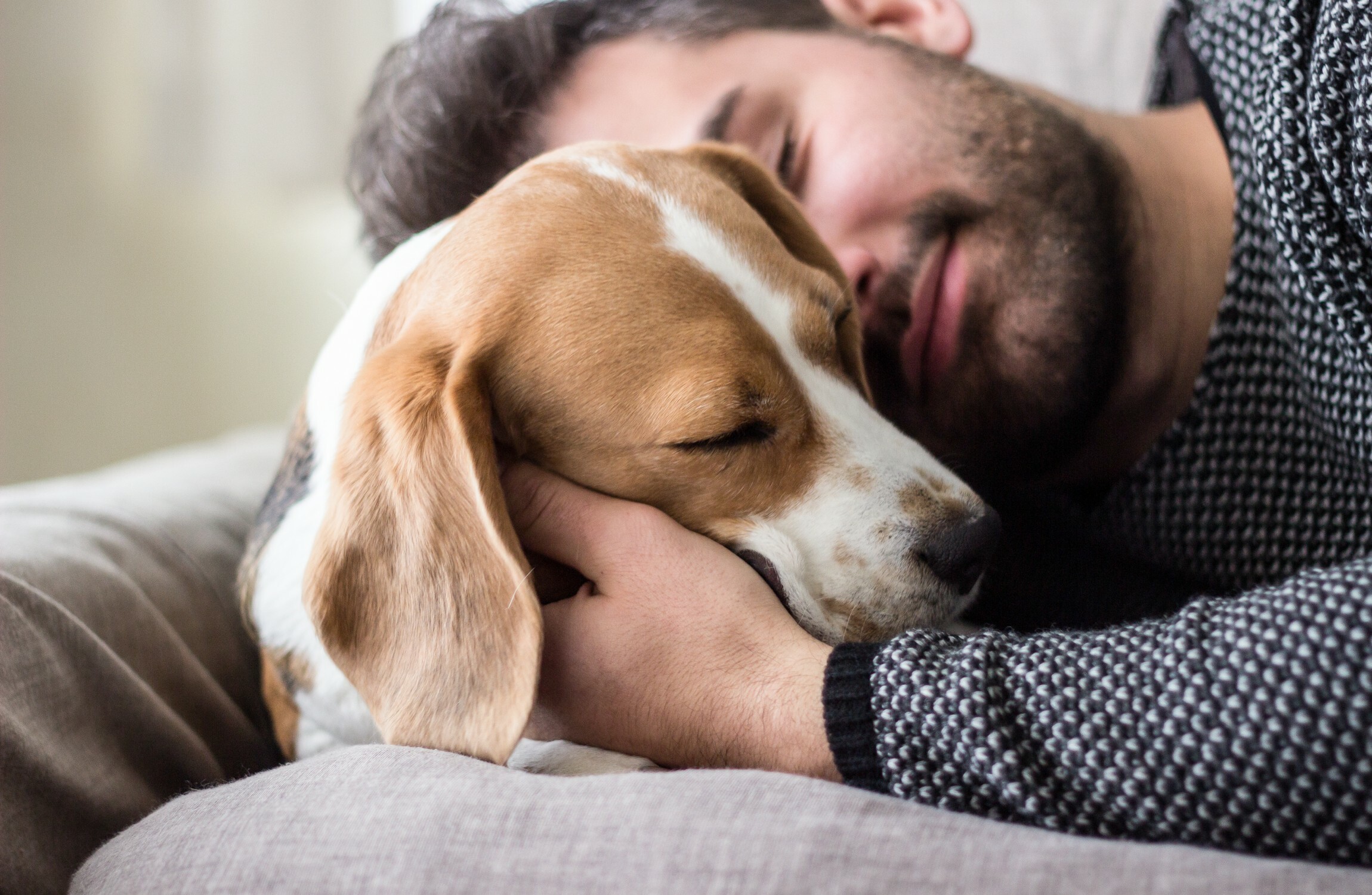 Your evening longread: The unbreakable bond between humans and dogs