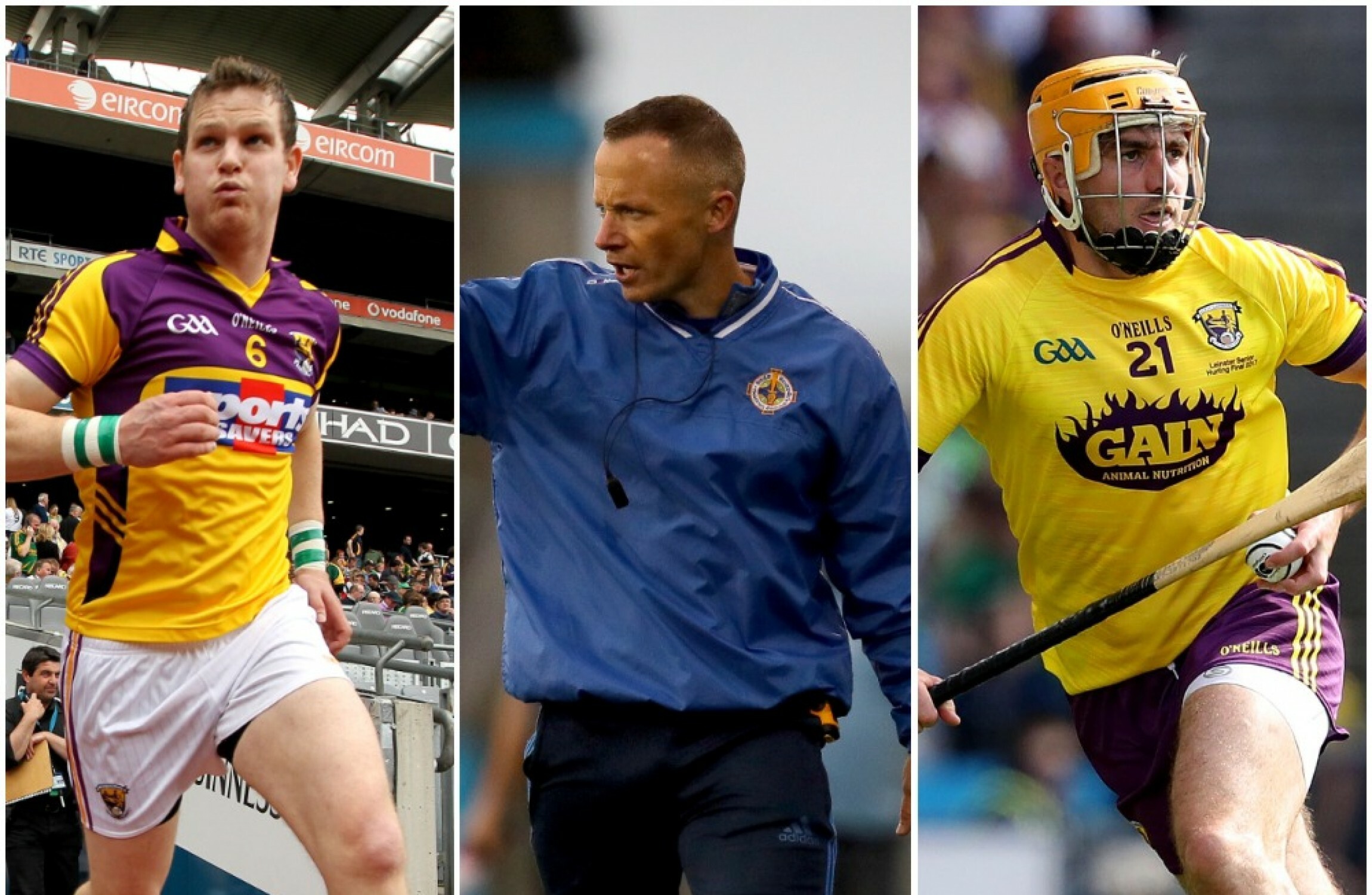 Former senior stars and Dublin club winning boss part of Wexford U20 management - Vimarsana News