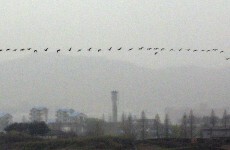 Leaflet bombs: North Korea drops propaganda pamphlets on the South