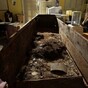 One careful owner: JFK assassin's coffin up for sale
