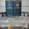 Two arrests made after €2.58 million worth of cannabis herb seized in Dublin