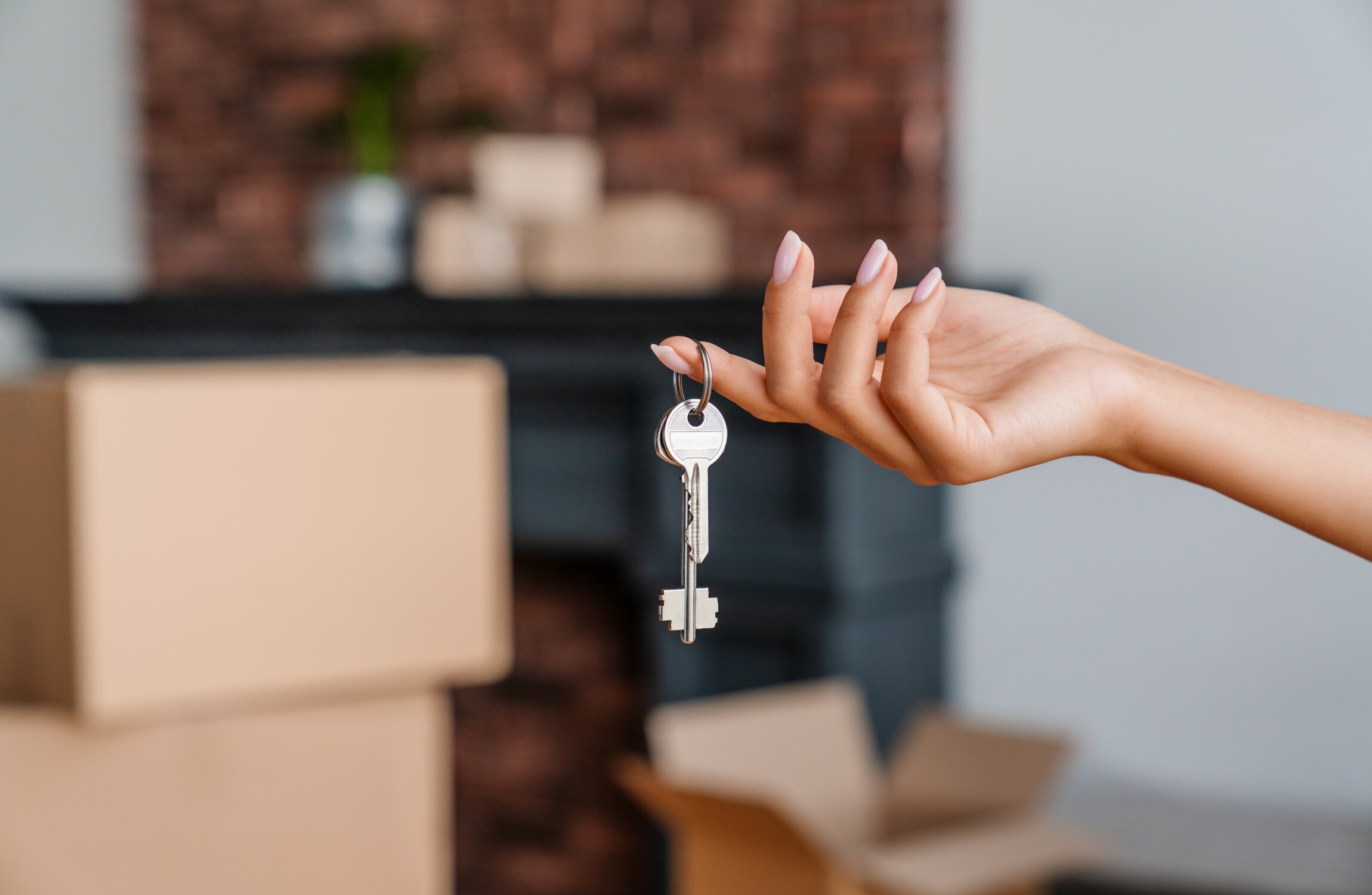 Your evening longread: She wanted a roommate. What was the worst that could happen? - Vimarsana News