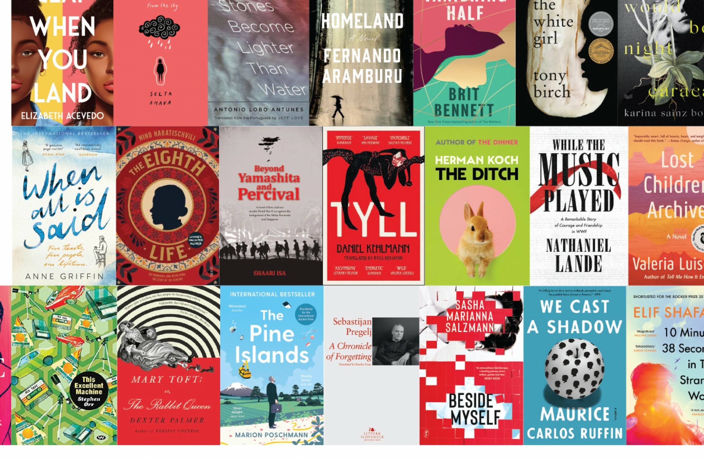 Four Irish authors on longlist for prestigious €100k Dublin Literary Award - Vimarsana News