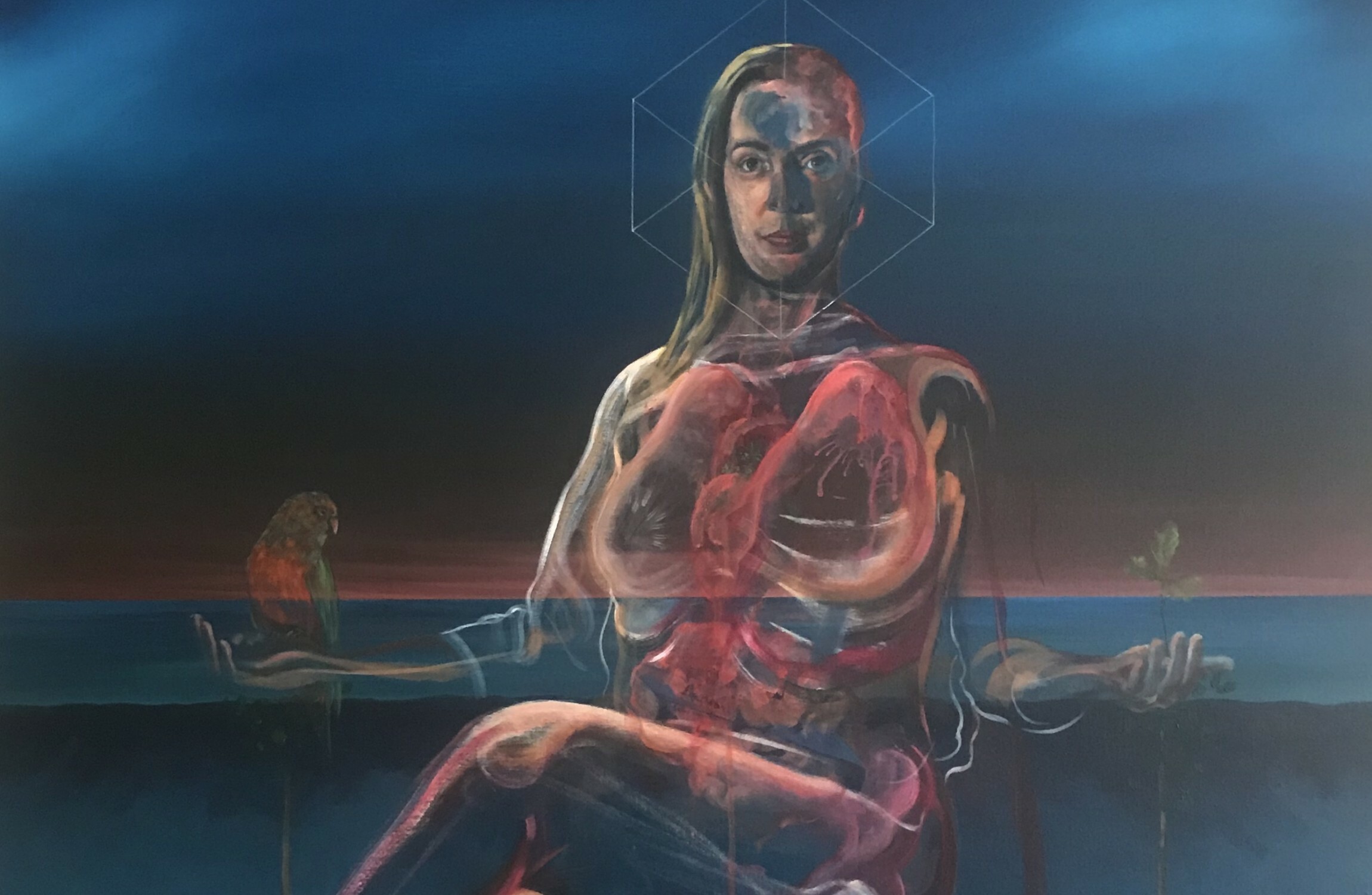 Portrait of Vicky Phelan raises over €45,000 for healthcare workers - Vimarsana News