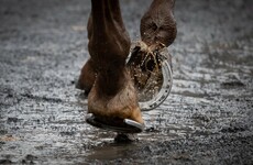 Irish Horseracing Regulatory Board issues unreserved apology over errors at Naas
