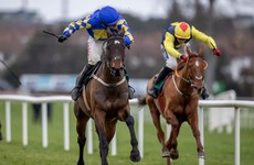 Kemboy gallops to Irish Gold Cup glory at Leopardstown