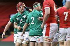 Ireland leave Cardiff feeling a mix of pride, disappointment and regret
