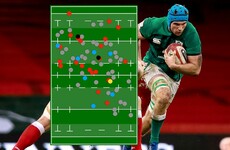 Top carrier, tackler, passer, and jackler - Tadhg Beirne's best game yet for Ireland