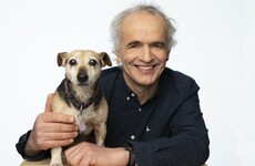 Pete the Vet: Top 10 things to consider if you're getting a new pet