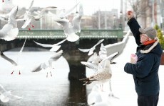 Snow moves west, but transport hampered as big freeze continues