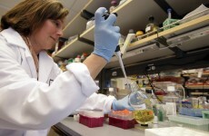 US can now classify heavily modified stem cells as 'drugs'