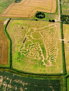PHOTOS: Farmer creates maze in the shape of Usain Bolt