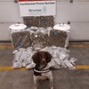 €270k worth of cannabis found in parcel and electric heaters in two separate operations at Dublin Port