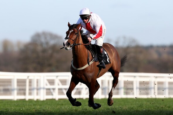 Goshen roars back into Champion Hurdle picture and Dashel Drasher with landmark Ascot win - Vimarsana News