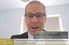 Vitamin D should form part of government's Covid policy, Oireachtas committee hears