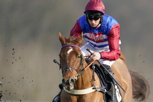 Johnny Ward: 'Cheltenham without people will not be nearly the same' - Vimarsana News