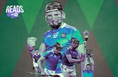 The Limerick footballer who became Hurler of the Year