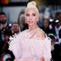 Lady Gaga's dog walker shot and two of her bulldogs stolen, US media reports