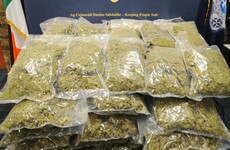 Gardaí seize €720k worth of cannabis after searches in Dublin, Meath and Louth