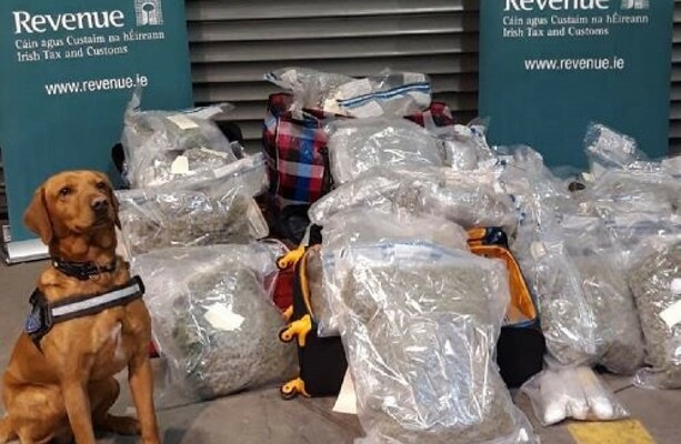 Revenue seizes €1.2 million worth of cannabis at Dublin Port