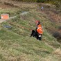 Dog rescued after falling 100 feet from cliff edge on Howth Head