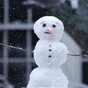 Woman rings 999 to report missing snowman