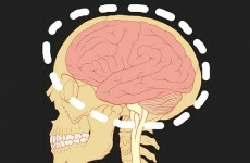New gene could potentially prevent epileptic seizures