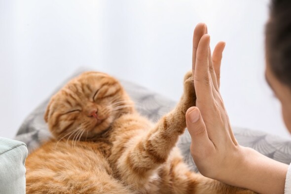 The 5 at 5: Tuesday - Vimarsana News