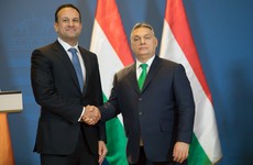 Fine Gael welcomes departure of Viktor Orban's party from their European Parliament grouping