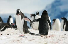 The 5 at 5 Wednesday: