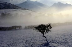 The week in photos