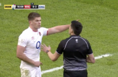 Poor calls and strained player-referee relations a challenge for Schmidt after 'black box' weekend