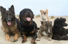 The 5 at 5: Thursday