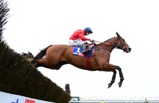 Envoi Allen settling in after high-profile move to Henry de Bromhead