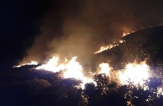 Government condemns 'irresponsible and reckless' wildfires in Wicklow and Laois