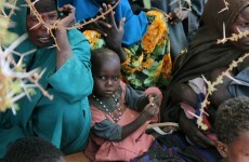 Public donations to Concern fall after 2010 emergencies