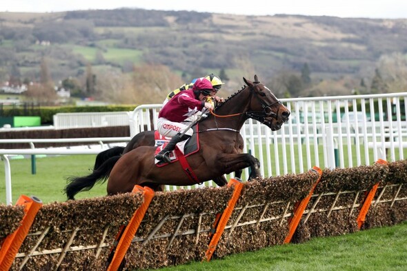 Johnny Ward: Cheltenham a symbol of how our lives have changed in ways we didn't think possible - Vimarsana News