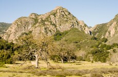 Your evening longread: The search for the shooter in the hills