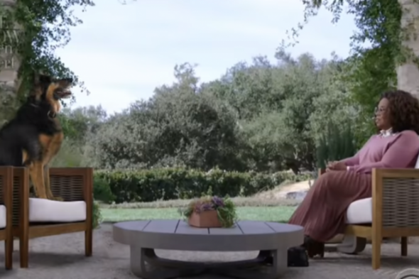 Sofa Watch: Champ and Major Biden sit down with Oprah - Vimarsana News
