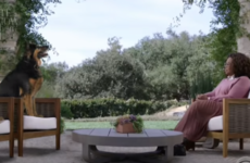 Sofa Watch: Champ and Major Biden sit down with Oprah