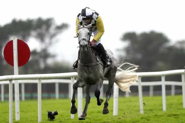 5 long shots worth a punt in this year's Cheltenham Festival - Vimarsana News