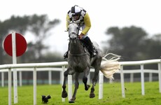 5 long shots worth a punt in this year's Cheltenham Festival