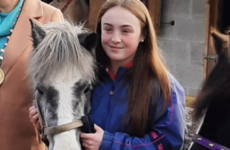 If we want to protect urban horses, we need to work with their owners