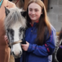 If we want to protect urban horses, we need to work with their owners