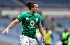 Contepomi backs James Lowe to respond for Ireland amidst criticism