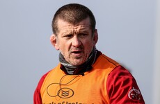'What a shock to us all' - Rowntree on Stander retirement