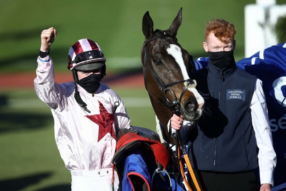 Black Tears edges thriller to give Denise 'Sneezy' Foster first Cheltenham winner - Vimarsana News