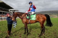 Poll: Who do you think will win the Stayers' Hurdle today at Cheltenham?